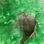 New green curly wig Image 4