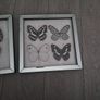 picture frames Image 3