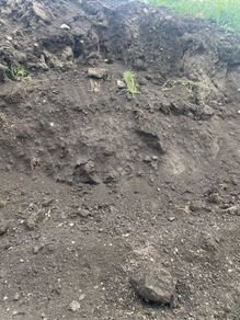 Top soil