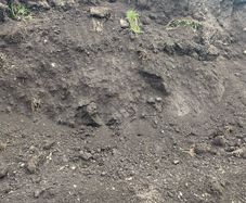 Top soil