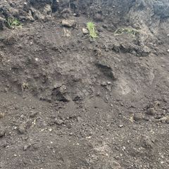 Top soil