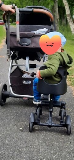 buggy side cart