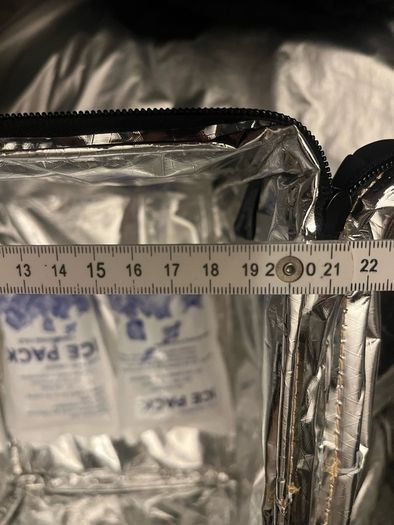 cooler Lunch Bag fridge Thermal Insulated 2 freezer Ice packs size 20/28/25 cm
