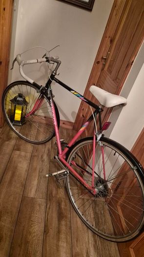 Classic vintage peugeot road racing bike