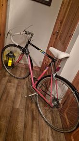 Classic vintage peugeot road racing bike