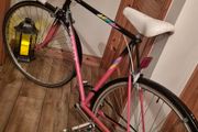 Classic vintage peugeot road racing bike