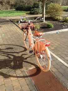 Bike New Sparta