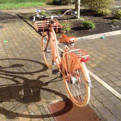 Bike New Sparta
