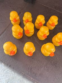 Ducks