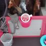 Lori Doll Horse Collection Image 6