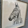 Arkle Framed Drawing/Print Image 3