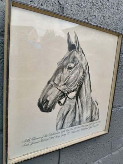 Arkle Framed Drawing/Print