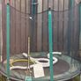 trampoline Image 2
