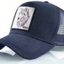 Cap Image 5