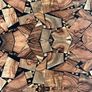 NEW PRICE DROP Coffee/Side Tables set of one off designed marquetry topped side tables Image 3