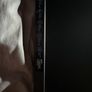 Lenovo 1080p 240hz Image 2