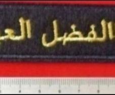 Syrian Civil War , Abu al -fadl al-abas brigade  , pro assad militia.