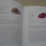 Crystal Therapy, Doreen Virtue, Paperback book, non fiction book Image 6