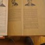 Treasury Of Great Operetta. 12 Vynal 33 RECORDS BOXED. All In Sleeves C/w Fabolous Booklet Of All The Conductors. Image 9