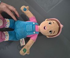 Ms Rachel Doll