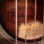 Richwood Hybrid Nylon Semi Electro Acoustic Guitar Image 6