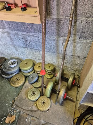 Gym weights