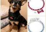 NEW beautiful dog/cat necklace