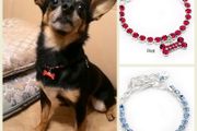 NEW beautiful dog/cat necklace