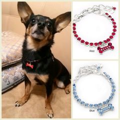 NEW beautiful dog/cat necklace