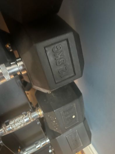 dumbells, rack and bench