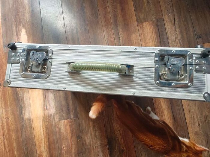 Guitar pedal case