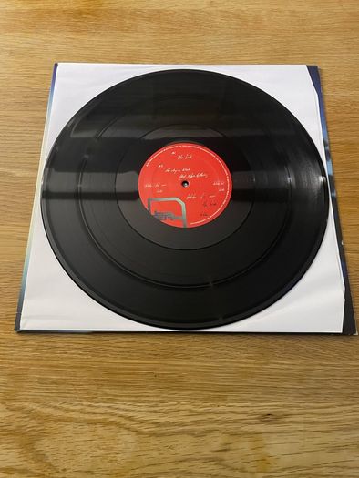 Telefon Tel Aviv - The Birds - 12" Vinyl Single - 2012 BPitch Control