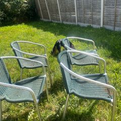 4 garden chairs