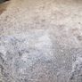 Dry wood shavings Image 2