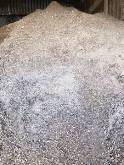 Dry wood shavings