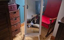 mirror