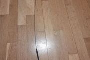 Cat toys