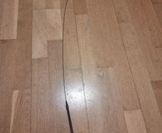 Cat toys