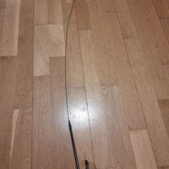 Cat toys