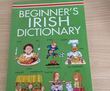 Irish language children's book