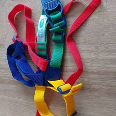 Reins harness