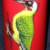 Wood Pecker