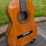 Cataluna SGN-C61 Classical Guitar Image 6