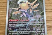 Shedinja Pokemon