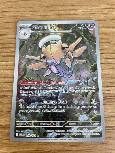 Shedinja Pokemon