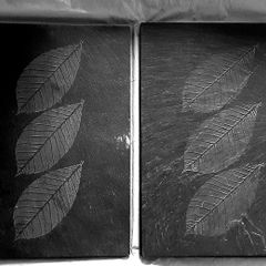 Slate Placemats with Leaves Detailing x 4