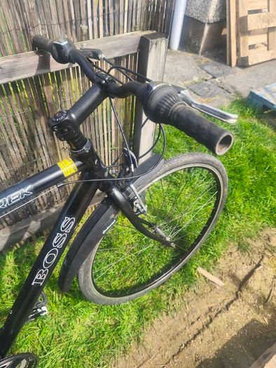Euro Giant hybrid bike