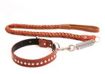 Leather Lead and Collar Set