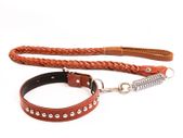 Leather Lead and Collar Set