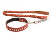 Leather Lead and Collar Set